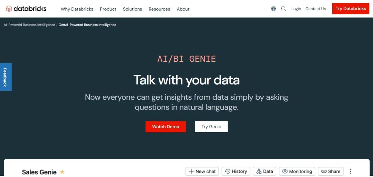 Databricks AI/BI Genie platform